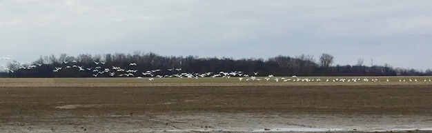 Frame-22-03-2016-09-49-41